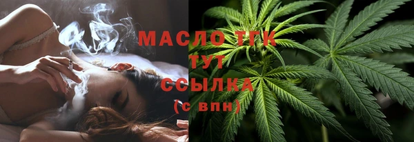 шишки Верхний Тагил